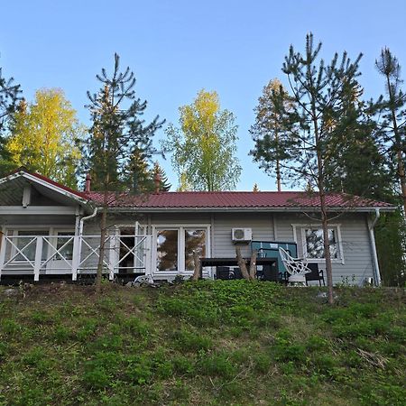 Valentin Cottage Enonkoski Exterior foto
